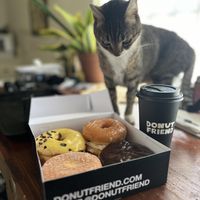 From top left: Compassion Fruit, Strawberry Lab, The Jelly Sound, Custard Front Drive, and hot cocoa    at Donut Friend - Highland Park in Los Angeles