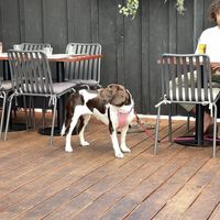   at The Olive Kitchen in Auckland