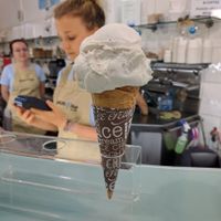 vanilla bean   at Gelato Blue in Newtown