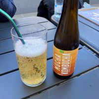 Organic kombucha  at Kooks Club in Hendaye