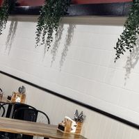   at Greenzilla in St Kilda