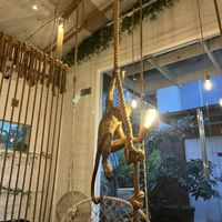 💓  at Lazy Hammock Cafe in El Nido