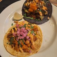  at Nopal in Vlissingen