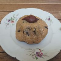 Cookie at Mimosa in Poitiers