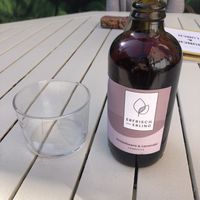Kombucha blueberry lavender   at Veganes Gold - The Foodie Place in Stuttgart