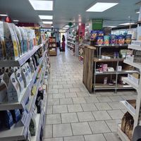  at Kindly - York Place in Brighton