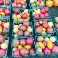  at Ocean Beach Farmers Market in San Diego