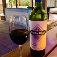 Vegan red wine at Village Bistro - The First Collection in Dubai
