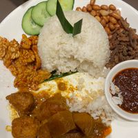 Curry mock chicken with rice at Hainan Village Signature - Sandakan - 海南乡 in Sandakan