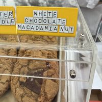   at Black Cat Vegan Bakery in Foley