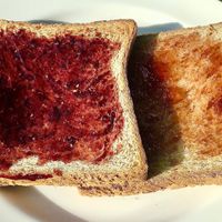 Toast and jams at Ostro in Dubai