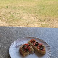 Fresh soughdough with tomato and basil at Prakriti Cafe by Ecolivinghomes in Pushkar