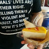 the best mango cheese cake in the world!  at Evolution Bakery and Cafe in Kailua Kona