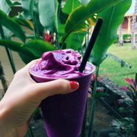 Dragonfruit Smoothie at Evolution Bakery and Cafe in Kailua Kona
