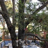 You can reserve the garden patio for parties with catering by emailing  at One House Bakery in Benicia