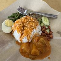 Nasi Rendang  at Yin Yi Vegetarian Restaurant in Kuantan