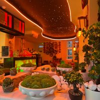 Interior at Merkamo Vegan in East London