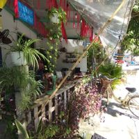 You can easily identify this cafe by all the plants decorated around it. at Eco Life Coffee & Bar in Hoi An