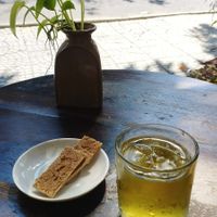 Free coconut crackers and iced jasmine tea. at Eco Life Coffee & Bar in Hoi An