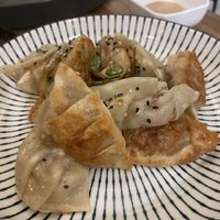 Dumpling poêlés  at Hum Vegan in Montreal