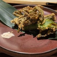   at Tian Shui (Yuexi) in Guangzhou