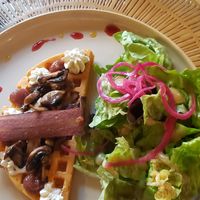  at Roots Cafe in Chambery