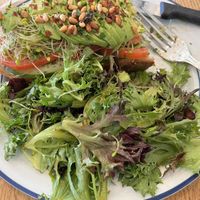 Avocado Hummus Toast  at Caffe Central in Burlingame