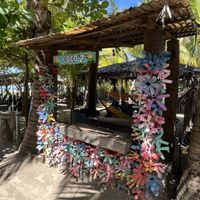   at La Tortuga Verde in Intipuca