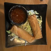 Veggie Springrolls  at Zuru Ramen Boba in Ocala