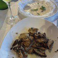 Onddoak  at Oianume in Urnieta