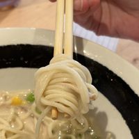 Hand made noodles   at Nishiki Ramen in Plano