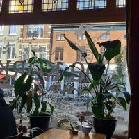 De klassieke glas in lood ramen! at De Kurk in Arnhem