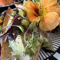   at Cafe Mi Amor in Hot Springs