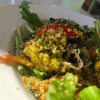 Organic tricolor, quinoa salad  at Hungry's in Houston