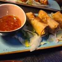 Spring rolls at Tokymon Chay in Frankfurt