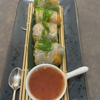 spring rolls  at Refugio in Valencia