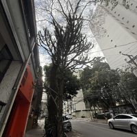   at Tau Cozinha in Sao Paulo