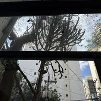   at Tau Cozinha in Sao Paulo