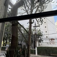   at Tau Cozinha in Sao Paulo