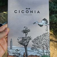 The place at Ciconia Chellah in Rabat