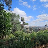 View of nesting storks at Ciconia Chellah in Rabat