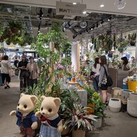 inside at (THISIS)NATURE in Kyoto