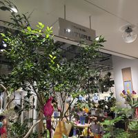 entrance   at (THISIS)NATURE in Kyoto