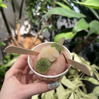 mochi covered ice cream scoop   at (THISIS)NATURE in Kyoto