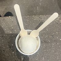   at (THISIS)NATURE in Kyoto