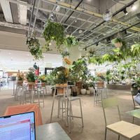   at (THISIS)NATURE in Kyoto