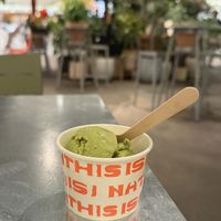   at (THISIS)NATURE in Kyoto