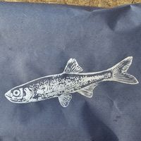 Tshirt bought at Vegan Afairs, nicely wrapped at Artamandua in Willebroek