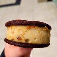 The Doctor Is In Vegan Ice Cream Sandwich at Dollop! Ice Cream Parlour in Llandudno