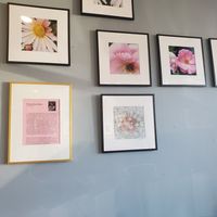  at Malelani Cafe in Philadelphia